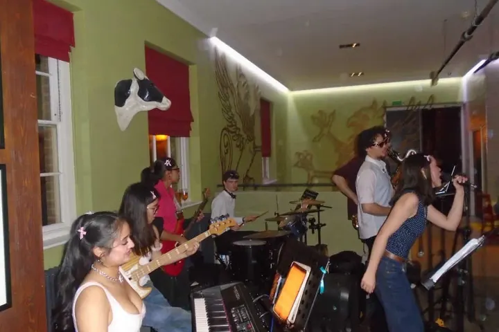 Playing a pub back room, the singer mid-chorus with a cow on the wall